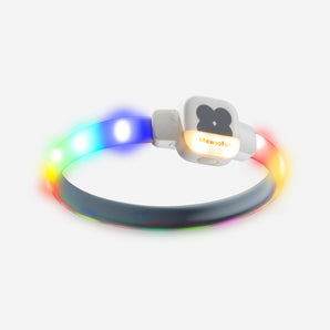 Colorful Rechargeable LED Dog Collar with 7 Lighting Modes