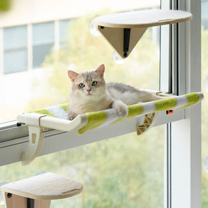 Cat Window Perch Green Stripes