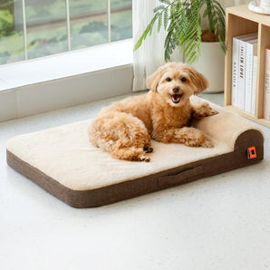 Orthopedic Bolster Dog Bed