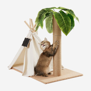 Camping Tents Cat Scratching Post and Bed